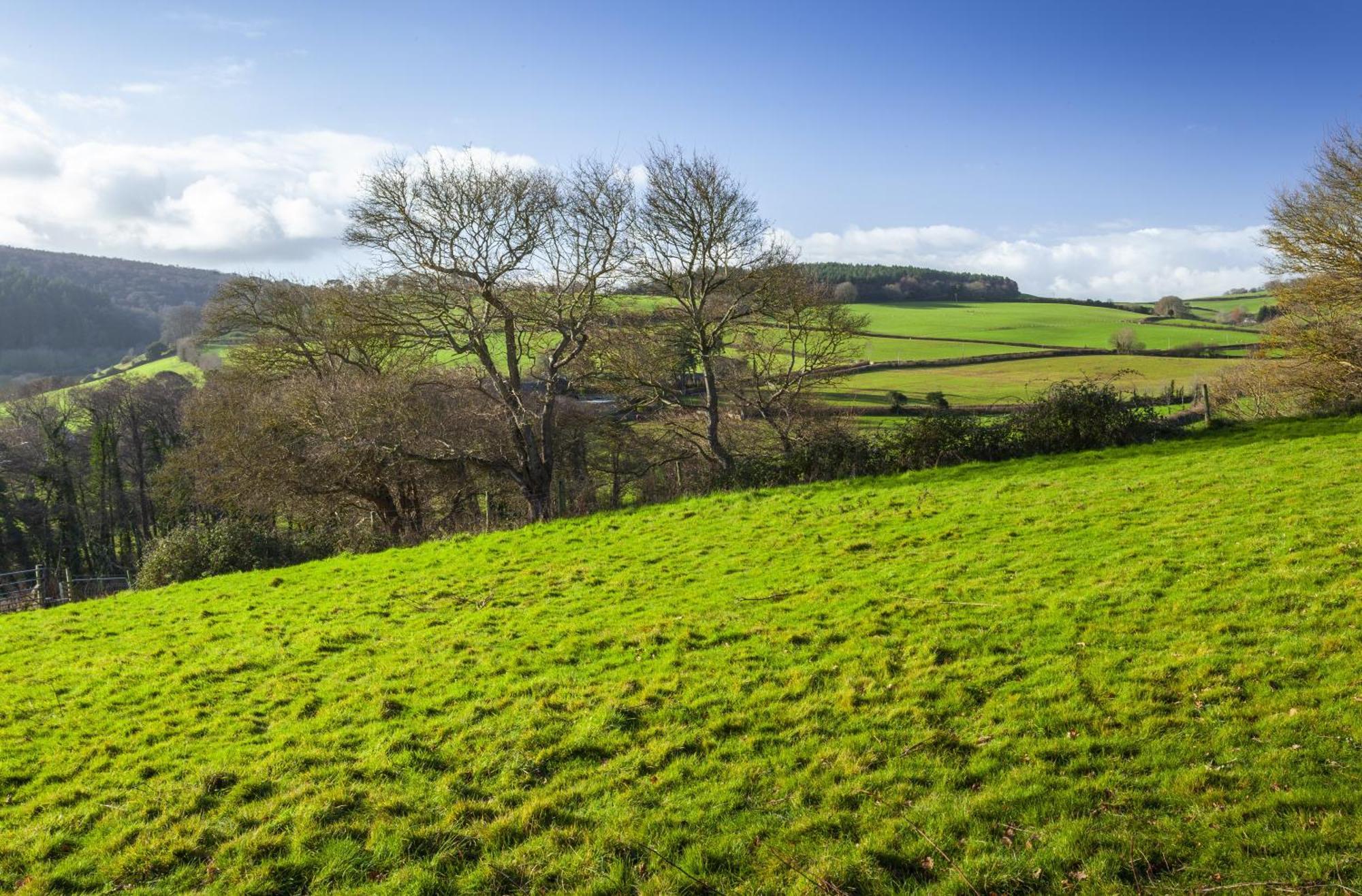 The Garden Studio Woodcombe Minehead Exterior foto